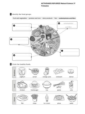 Activities Natural Science 1º