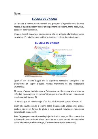 El cicle de l'aigua