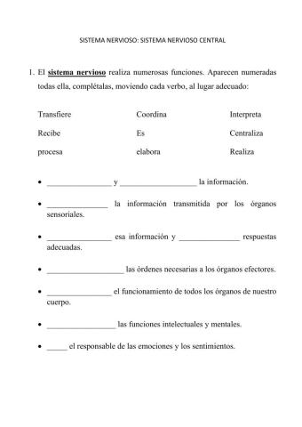 Sistema nervioso central