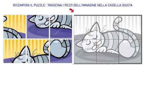 Puzzle del gatto