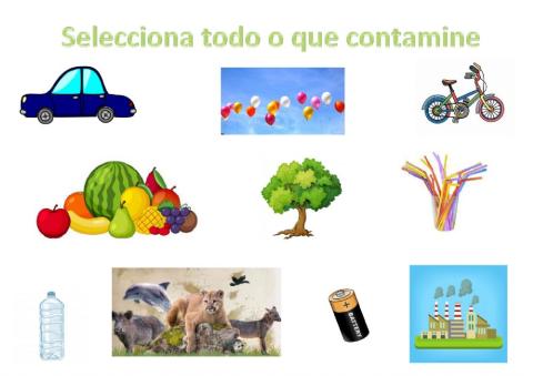 Contaminación