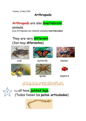 Arthropods