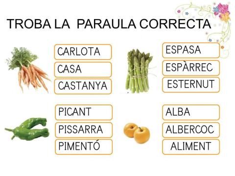 Troba-Paraula-correcta