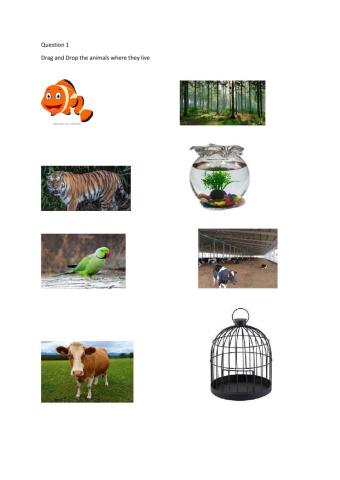 Animals