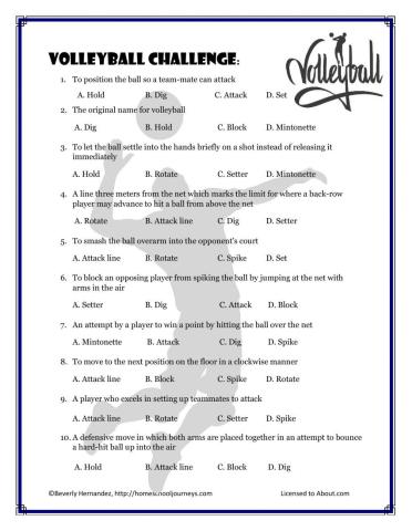 Volleyball Challenge