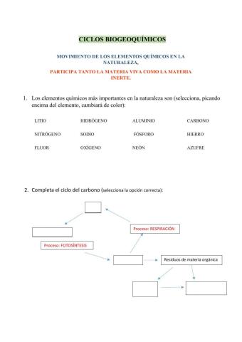 Ciclos biogeoquímicos