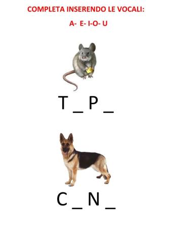 Completa inserendo le vocali mancanti