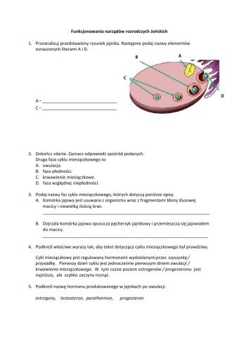 Funkcjonowanie żeńskich narządów rozrodczych