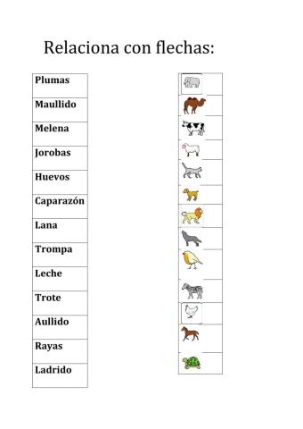 animales 1º