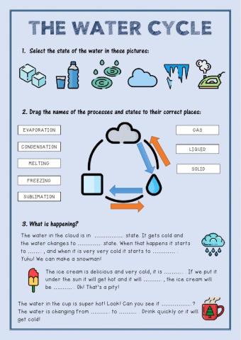 The water cycle