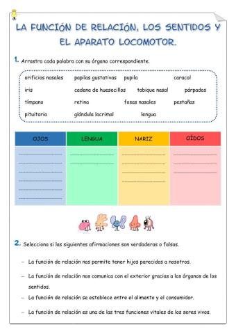 Repaso de naturales. Funciones vitales, sentidos, aparato locomotor