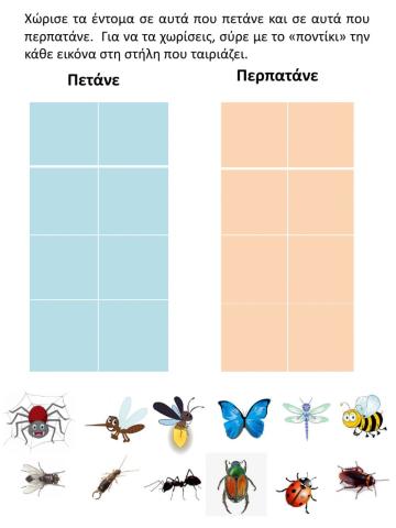 Χώρισε τα έντομα σε αυτά που πετάνε και σε εκείνα που περπατάνε