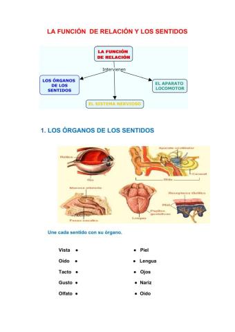 Función de relación