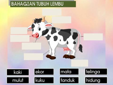 Label bahagian tubuh haiwan - PSSAS MAPMI