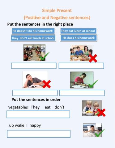 Simple Present Positive and Negative