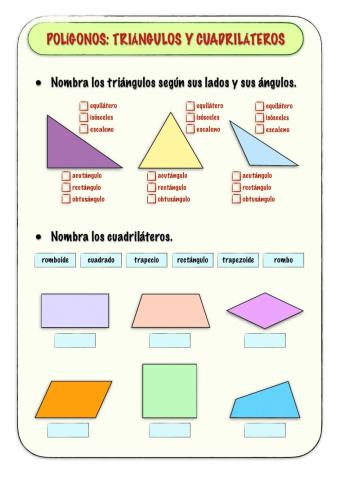 Polígonos: triángulos y cuadriláteros