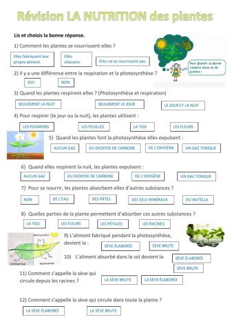 La nutrition des plantes