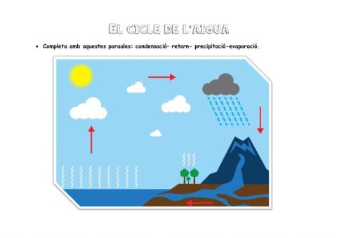 El cicle de l'aigua