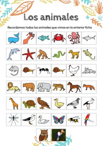 Animales 2