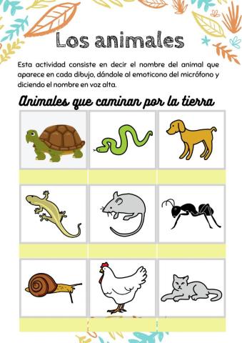 Animales 1