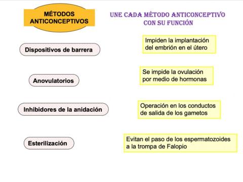 Función métodos anticonceptivos