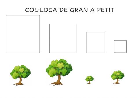 Gran-petit arbre