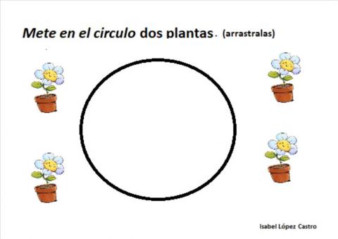 Las plantas