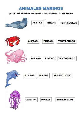 Animales marinos