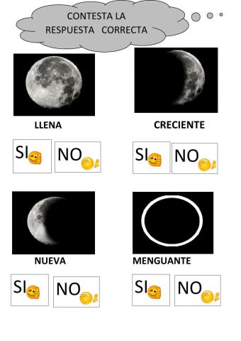 Fases de la luna