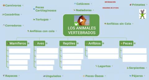 Esquema Animales Vertebrados