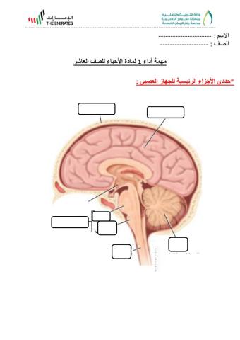 مهمة اداء 1 لعاشر