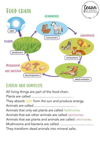 Food chain