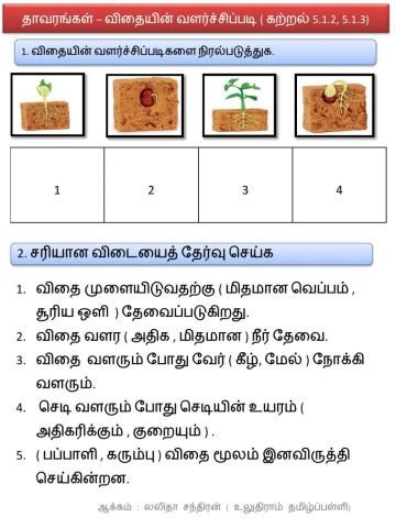 விதையின் வளர்ச்சி