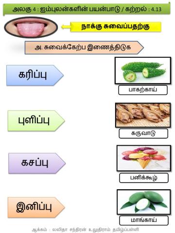 ஐம்புலன்களின் பயன்பாடு ( நாக்கு-காது)