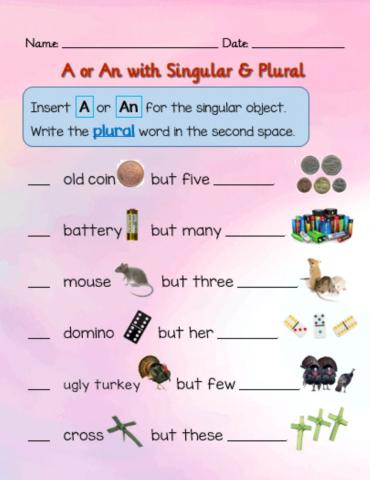 Singular & Plural