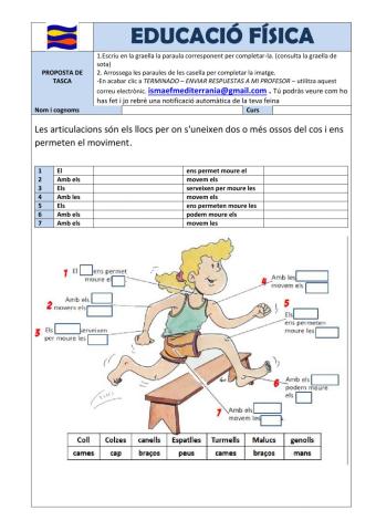 Les articulacions Cicle Inicial