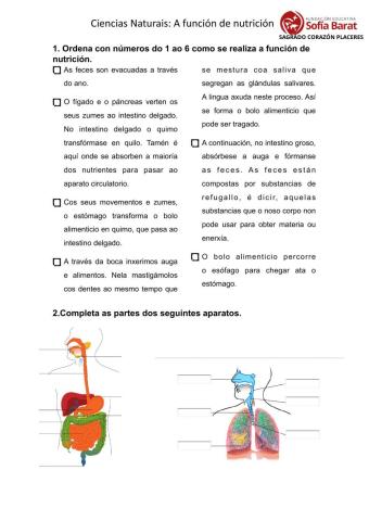 Ciencias Naturais. A nutrición