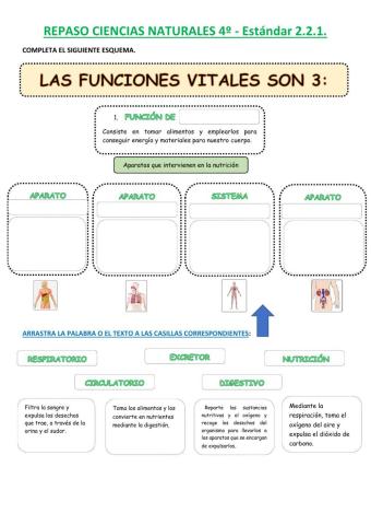 La función de nutrición