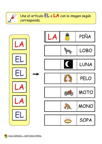 Concordancia genero Artículo