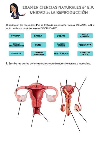 Examen naturales la reproducción