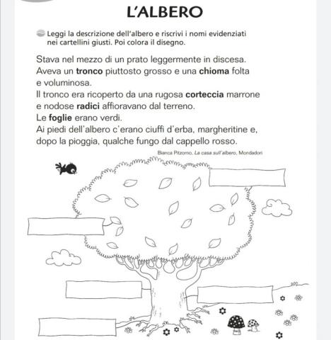 Le parti dell'albero