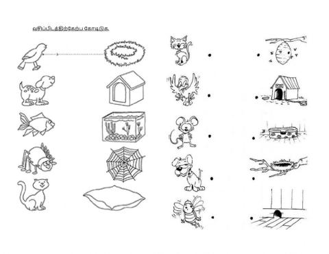 அறிவியல் ஆண்டு 1 - விலங்குகளின் வசிப்பிடம்