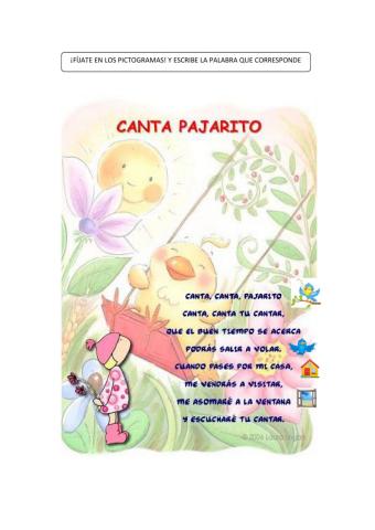 Poesía canta pajarito