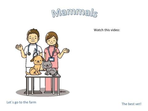 Mammals game