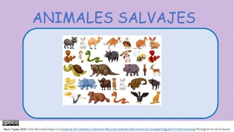 Busca los animales