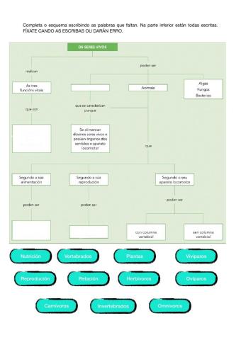 Esquema seres vivos galego