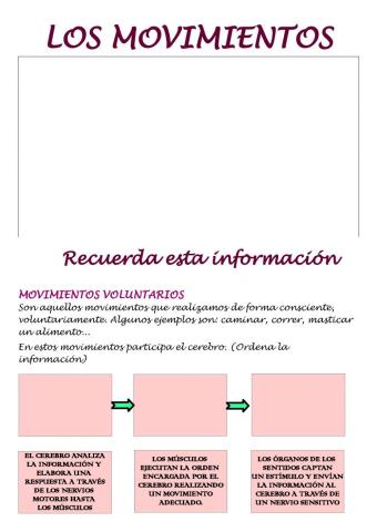 Los movimientos volunatrios y reflejos