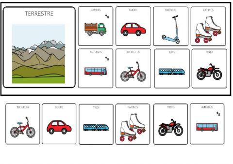 Los medios de transporte terrestres