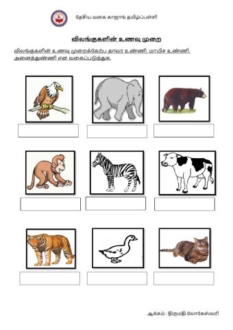 விலங்குகளின் உணவு முறை