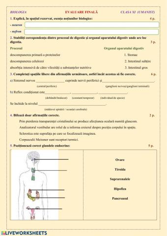 Evaluare finală